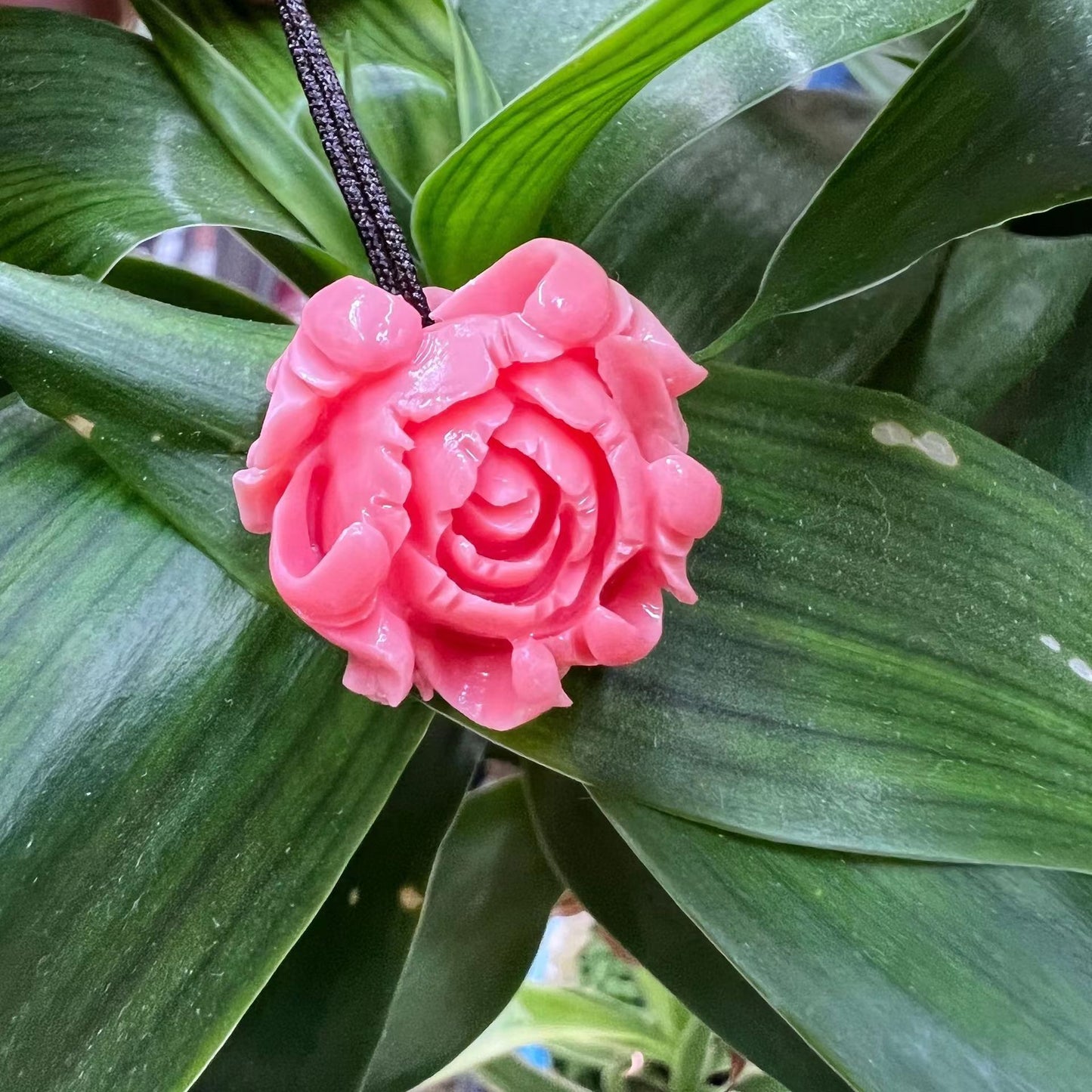 Queen Shell Peony 20MM DIY [5PC]